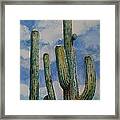 Saguaro Cactus #3 Framed Print