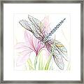 Sheer Wings / Sold #1 Framed Print