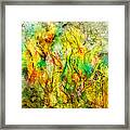 Summers Day #3 Framed Print