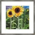 Sunflowers #1 Framed Print