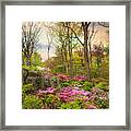 The Azalea Garden #2 Framed Print