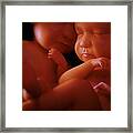 Twin Babies #3 Framed Print