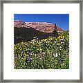 Wildflowers In A Field, West Maroon #3 Framed Print