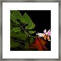 3068 Framed Print