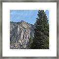 Yosemite National Park #32 Framed Print