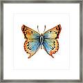 33 Opal Copper Butterfly Framed Print