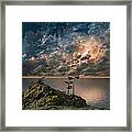 3521 Framed Print