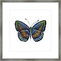 39 Mydanis Butterfly Framed Print