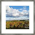 Douro River Valley #4 Framed Print