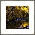 Fall Color Gauley River Headwaters #4 Framed Print