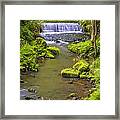 Goit Stock Waterfall Framed Print