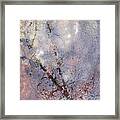 Ice Tree #4 Framed Print