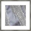 Icicles #4 Framed Print