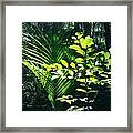 Jungle Leaves #4 Framed Print