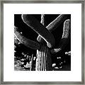 Low Angle View Of A Saguaro Cactus #4 Framed Print