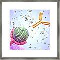 Pcsk9 Inhibitor And High Cholesterol #4 Framed Print
