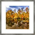 Reflection Of Autumn Colors On The Canal #4 Framed Print