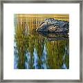 Reflections On The River #4 Framed Print