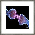 Synapse #6 Framed Print