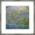 The Water Lilies 4 Framed Print The Water Lilies 4 Framed Print