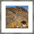 University Food Waste Composting Program #4 Framed Print