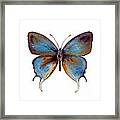 48 Manto Hypoleuca Butterfly Framed Print