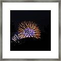4th Of July Fireworks - 011315 Framed Print