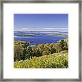 Colorful Fall Forest Near Rangeley Maine #5 Framed Print