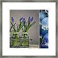 Hyacinth Still Life #5 Framed Print