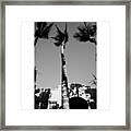 {miami Beach's Art Deco}  In 1979 #5 Framed Print