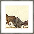 Squirrel #5 Framed Print