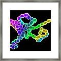 Streptococcus Bacteria #5 Framed Print