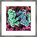 Protein Molecules #52 Framed Print
