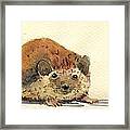 Hedgehog #6 Framed Print