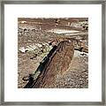 Petrified Forest #6 Framed Print