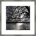 616a Lake Coeur D'alene Framed Print