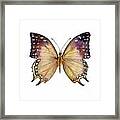 63 Great Nawab Butterfly Framed Print