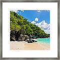 Beautiful Caribbean Beach Framed Print