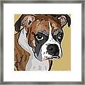 Boxer Dog Portrait #7 Framed Print