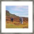 Dartmoor #7 Framed Print