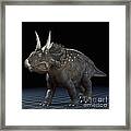 Dinosaur Diceratops #7 Framed Print