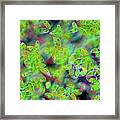 Euglena Protozoa #7 Framed Print