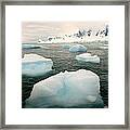 Icebergs #7 Framed Print