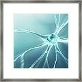 Nerve Cell #7 Framed Print