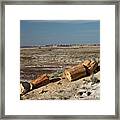 Petrified Forest #7 Framed Print