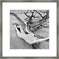 7642 Nude Woman In Desert Wash With Driftwood Black White Infrared Photo Framed Print