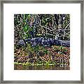8- Alligator Framed Print