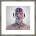 Geriatric Brain #8 Framed Print