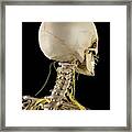 Human Nervous System #8 Framed Print