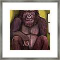 800 Pound Gorilla In The Room Edit 2 Framed Print